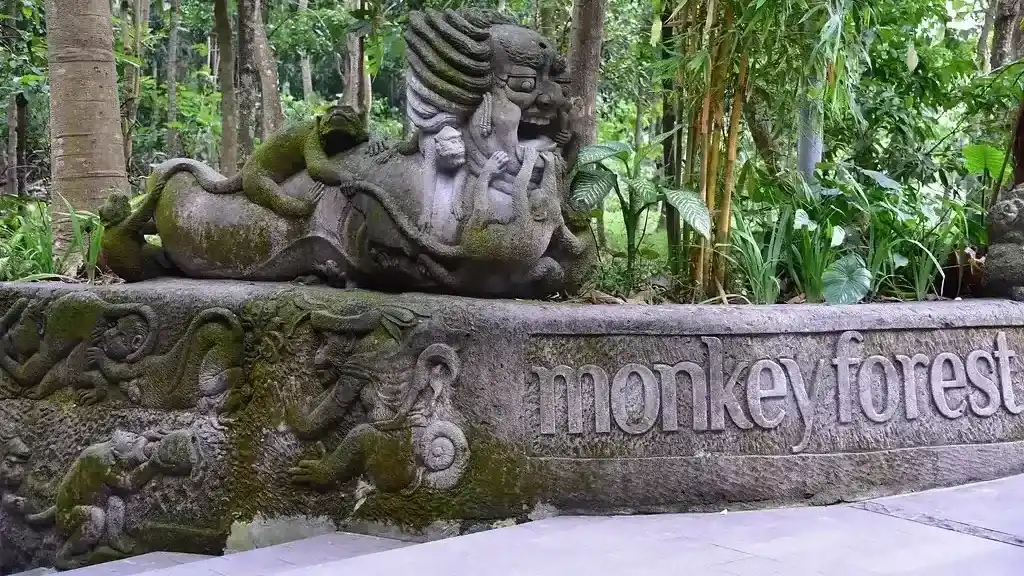 Sacred Monkey Forest Sanctuary, Ubud